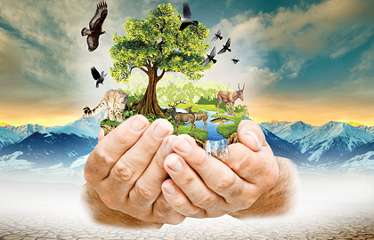 Лена Соколова порно