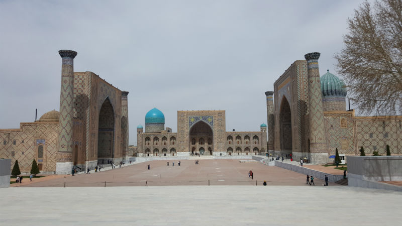 Волосатые письки порно