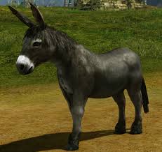 Неміс Греф бисексуалы