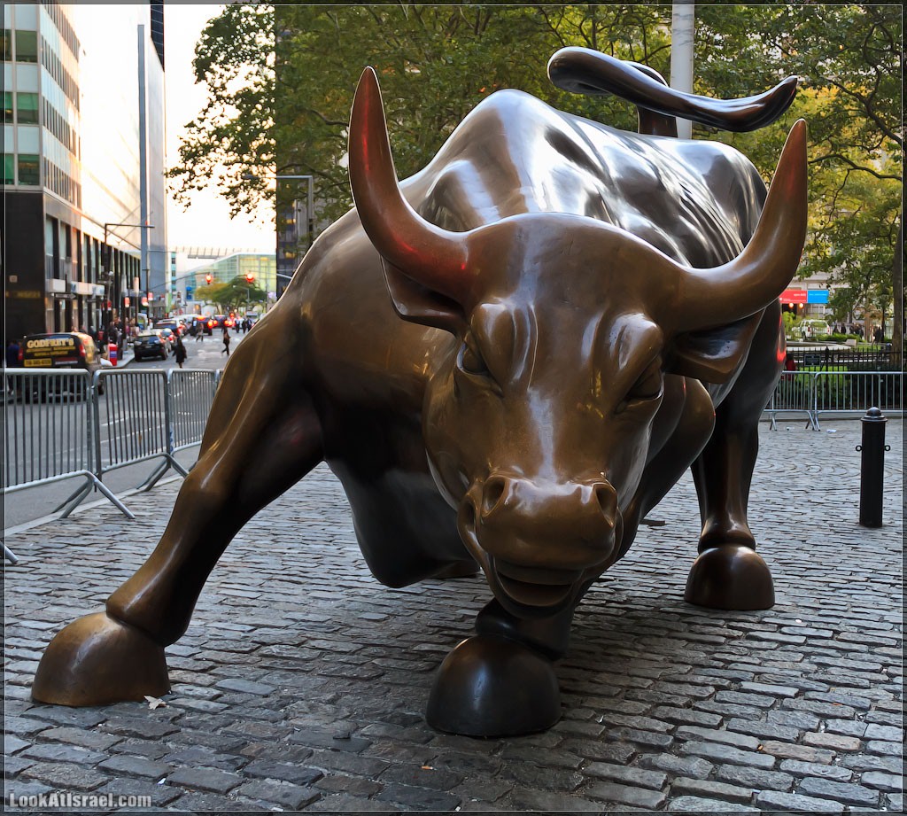 Үлкен қоздырылған клиторлар