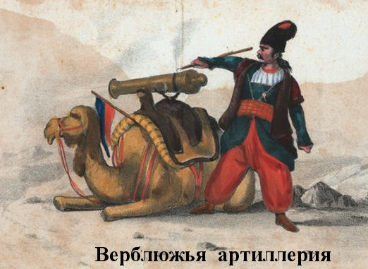 Қазақтың сексуалды қыздарының суреттері