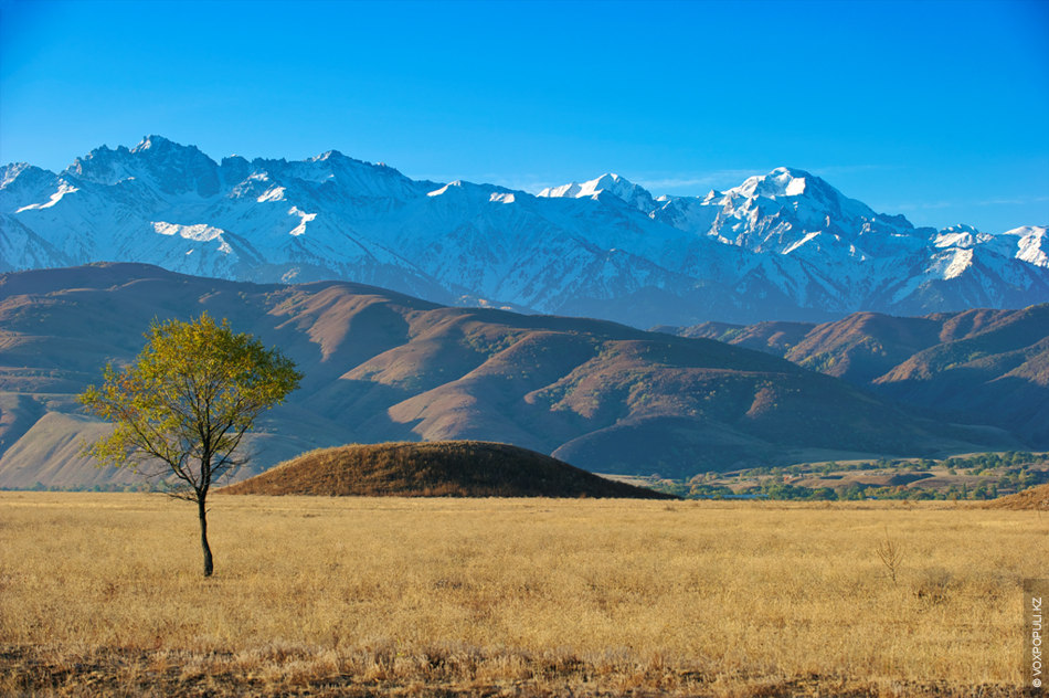 Эротикалық жұмыс үстелі