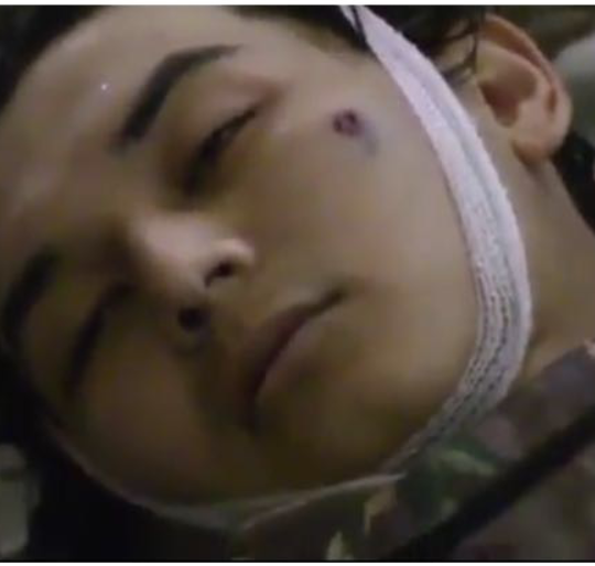 Леонардо да Винчидің қынаптары