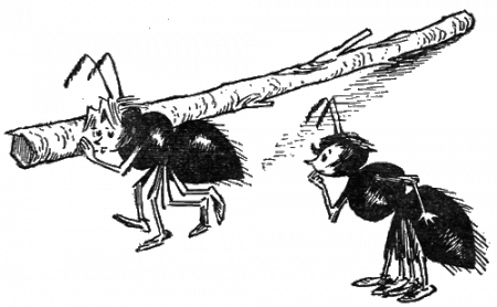 Менің жігітім жыныс мүшесі сүндеттелген, жыныстық қатынас кезінде ауырады.