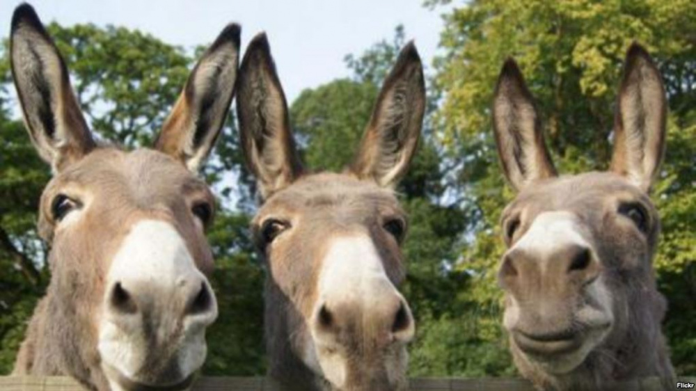 Мини юбка киген әдемі жалаңаш қыздар