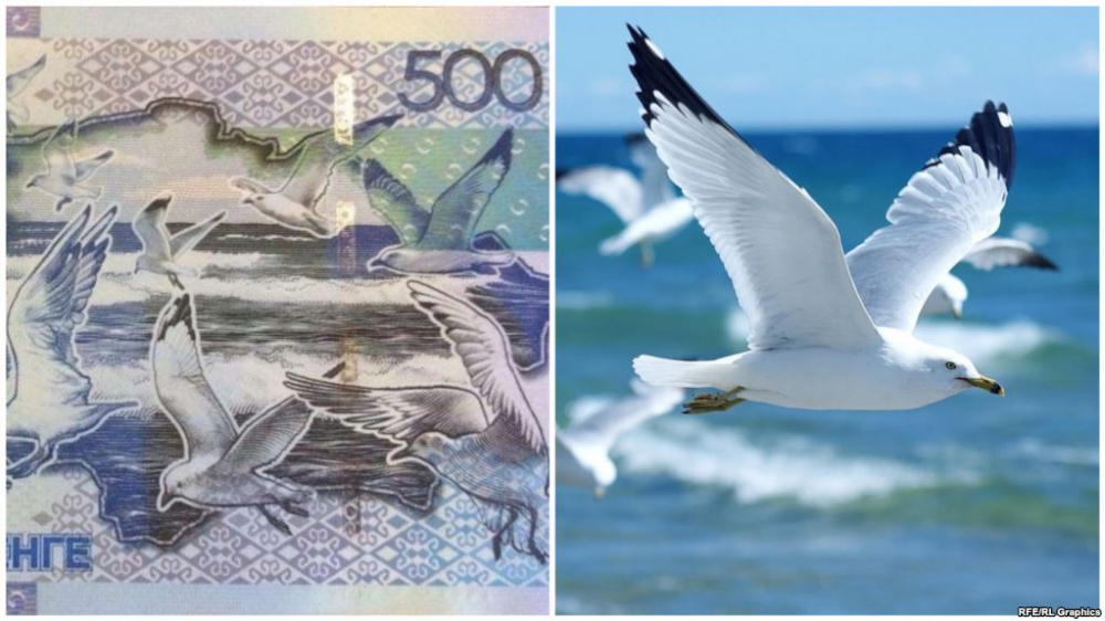 Шәуеттегі тағамның суреті