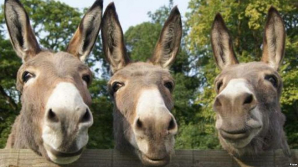 Жас студенттермен үй порносын көріңіз