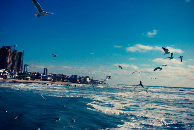 Мемлекеттік биологиялық мұражайдағы топтық секс оргия