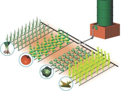 Бля, сүт тамшылап тұр Бля, сүт тамшылап тұр