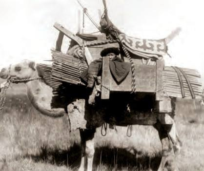 Ел бойынша порно фильмдерді қараңыз