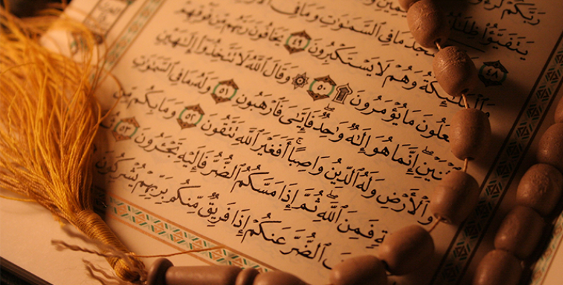 Әдемі траннидің етін жалайды