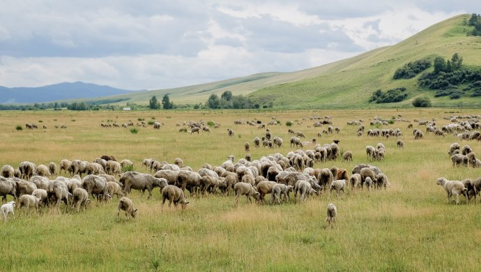 Бианка жалаңаш бейне