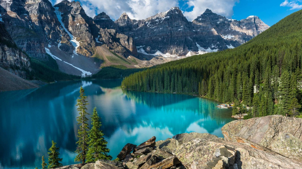 Наяша - есек ханшайымы