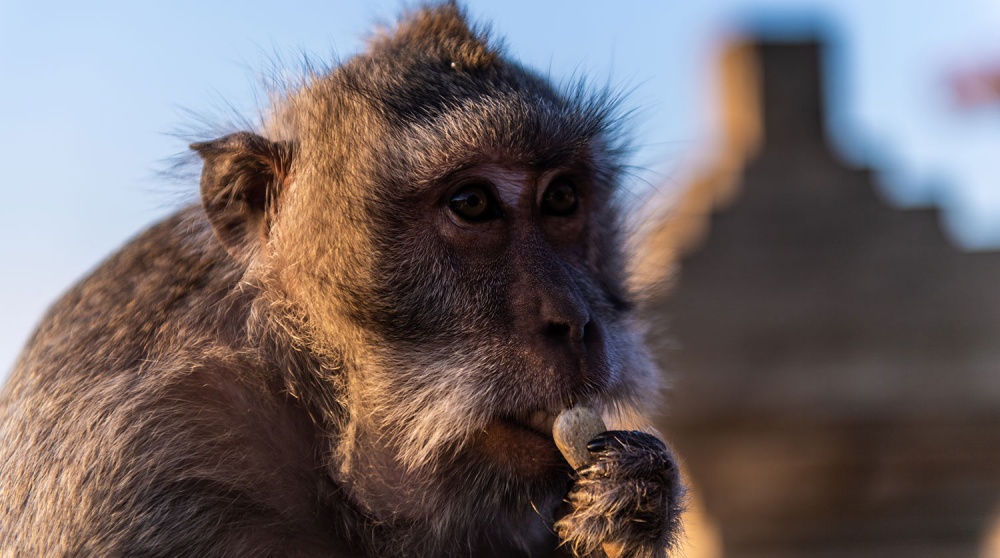 Колготки шұлық эротикалық порно фотосуреттер