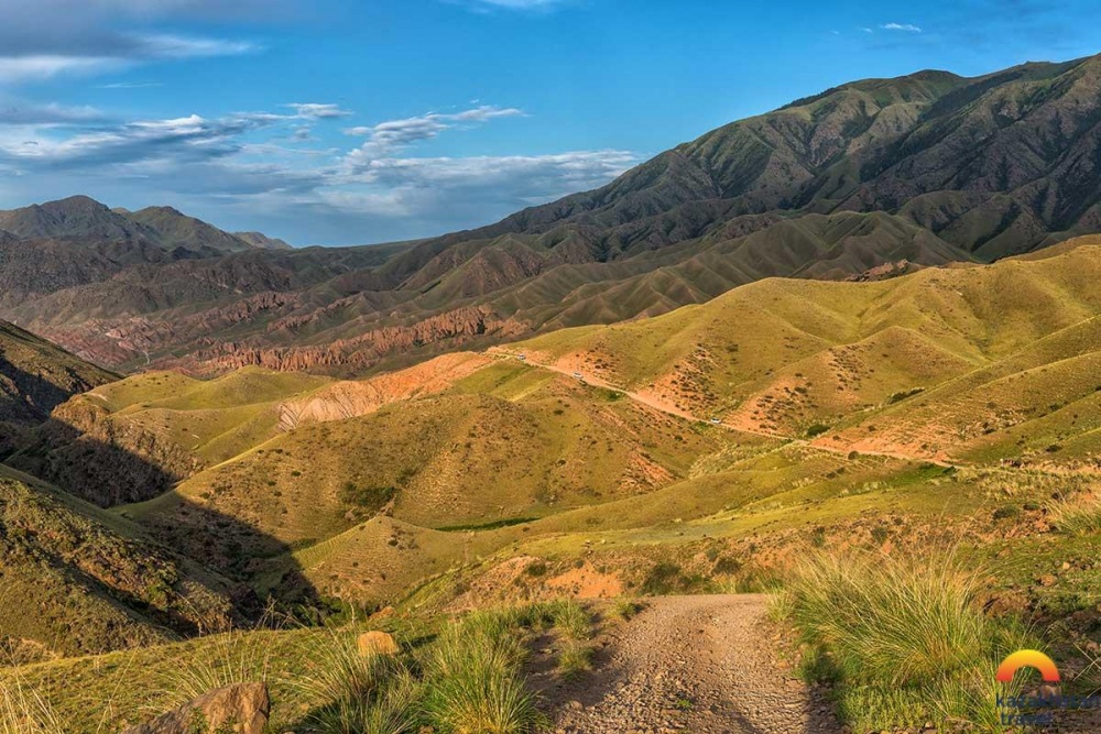 Сарайда сорғыш