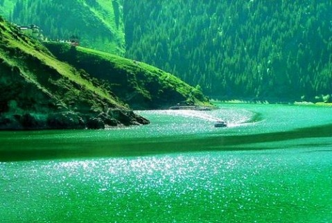 Араб тіліндегі жыныстық құлдық Том мен Джерри секс әзілдері