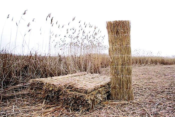 Порно лесбиянкалар бір-бірінің тілін сорып алады Интернетте BDSM бұрмаланатын порно