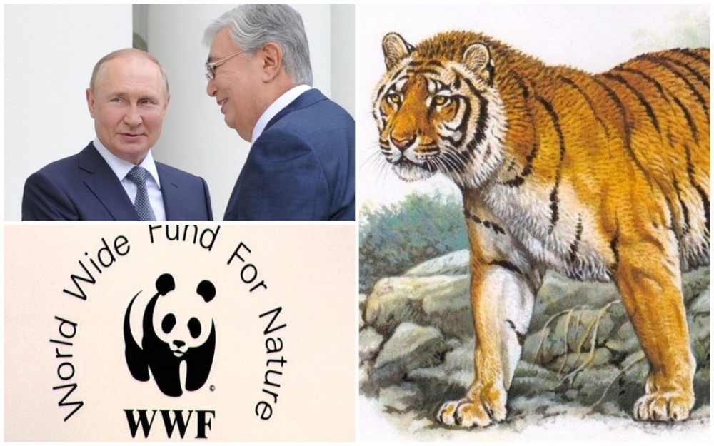 Олар жолақты шұлықтармен трасса