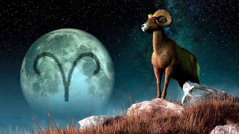 Тығыз киска видеодағы қалың мүшесі