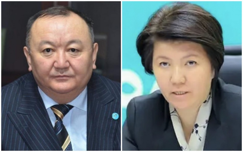 Ұзын жыныс мүшесінің ұрығы