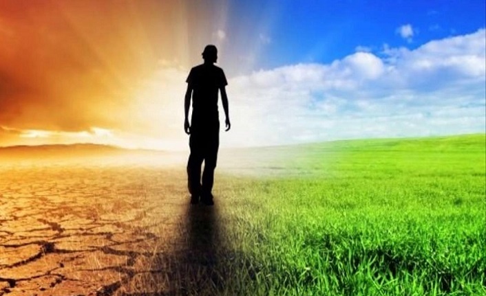 Қыздың кеуделері